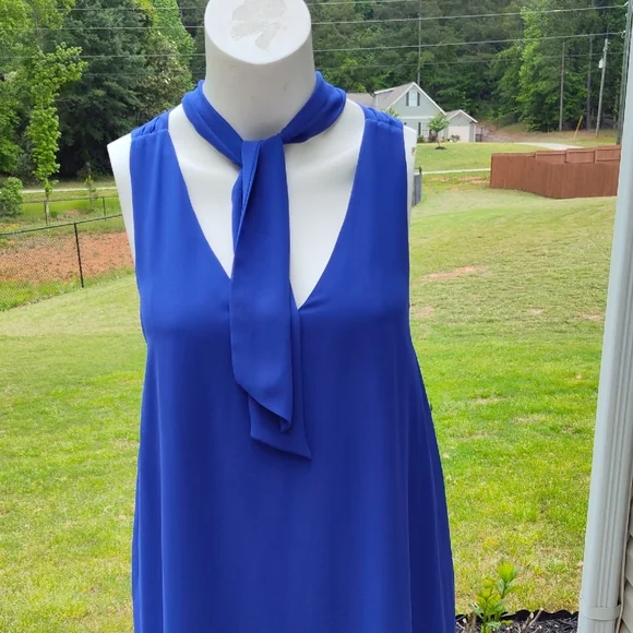 Elegant Blue Sleeveless Dress with Scarf Tie - Picture 3 of 12